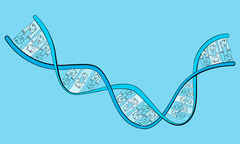 Te has convertido en tu padre